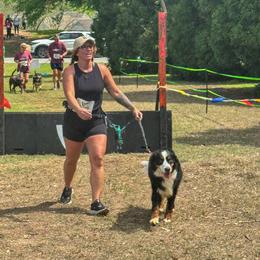 Bernedoodle, Bernese Mountain Dog, Cavalier King Charles Spaniel, and Goldendoodle All Grown Up from Adventure Doodles Of East TN