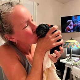Cane Corso Puppies from Nuovo Inizi Kennels