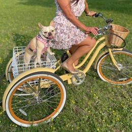 Peanut - French Bulldog