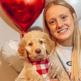 Rudolph - Apricot Goldendoodle puppy in Barnesville, Georgia from Sweet Peach Doodles