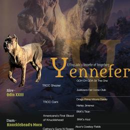 Yennefer - Black brindle female Cane Corso puppy in Stilwell, Oklahoma from Killing Joke Kennels
