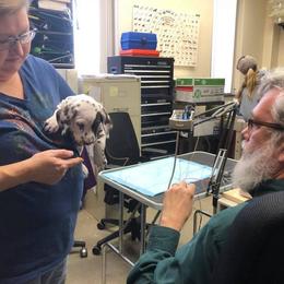 Dalmatian and Labrador Retriever Puppies from ECMO Farm Dalmatians & ECMO Farm Fox Red Labs