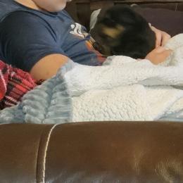 Rottweiler Puppies from Von Haus of Pearl