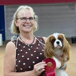 Topaz - Cavalier King Charles Spaniel