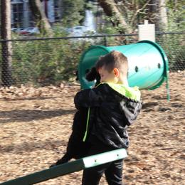 Poodle Puppies from Simply Standard Poodles