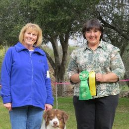 Australian Shepherds from Jamara Aussies