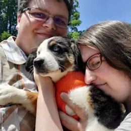 Australian Shepherd Puppies from Holly Ridge Aussies