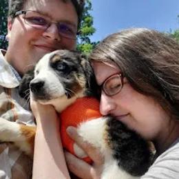 Australian Shepherd Puppies from Holly Ridge Aussies