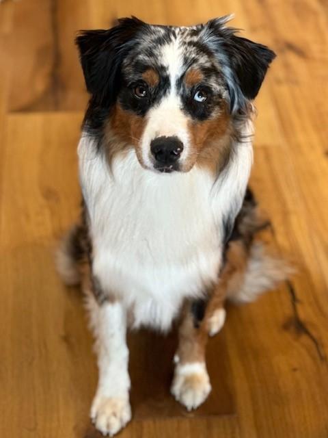 Caspian