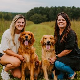 Golden Retrievers from Golden Dreams
