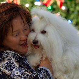 Coton de Tulear All Grown Up from Kanto Cotons