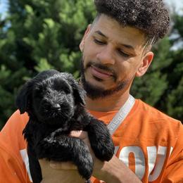 Giant Schnauzer Puppies from JAMG Schnauzers