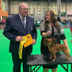 Russian Toys from Goldstone Russian Toys