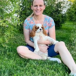 Cavalier King Charles Spaniel All Grown Up from Emerald Grove Puppies