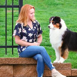 Australian Shepherds from Affinity Aussies