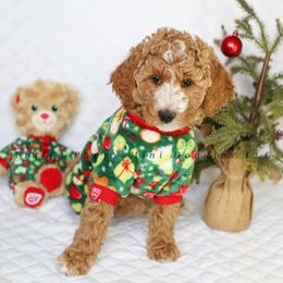 Noel (Purple Collar) - Goldendoodle puppy from Fluffy Puppy Mini Doodles LLC