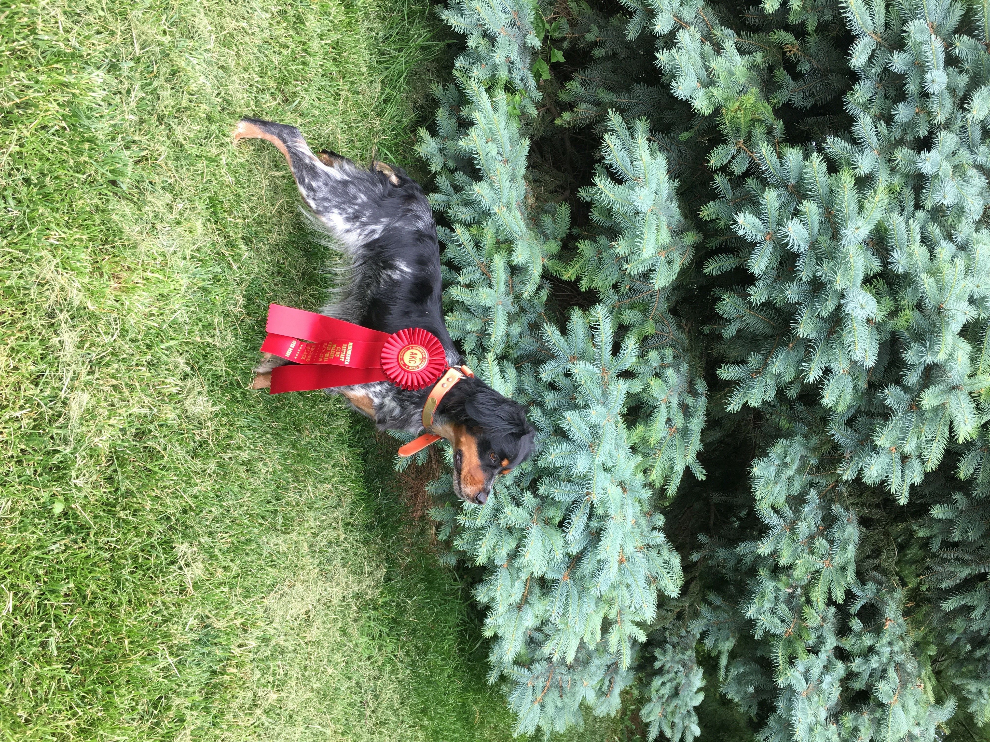 Nadia - French Brittany