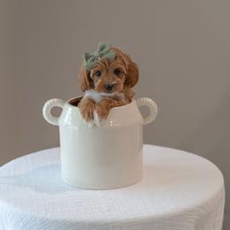 Dottie - Red and white female Cockapoo puppy in Altamonte Springs, Florida from The Perks of Pups