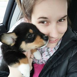 Pembroke Welsh Corgi Puppies from B&J Corgis