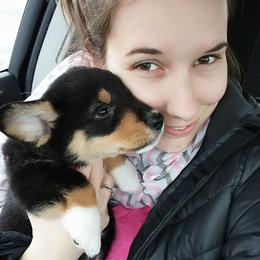 Pembroke Welsh Corgi Puppies from B&J Corgis