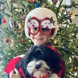 Ollie - Black and white male Cavapoo puppy in Mount Dora, Fl, Florida from Breezy Palms Puppies