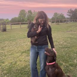 Labrador Retriever Puppies from Sleepy Hound Farm