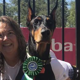 Dalton - Doberman Pinscher