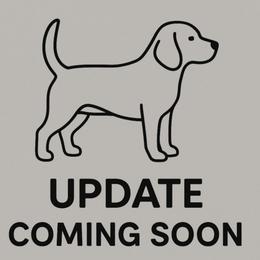 Peep - Black tan and white female Beagle puppy in Rose Bud, Arkansas from Rajun Cajun Kennels