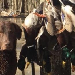 Chesapeake Bay Retrievers from Two Rivers Chesapeakes