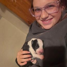 Happy - Black and white male Border Collie puppy in Ripley, Oklahoma from Adventure5 Border Collies