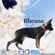 Rheana