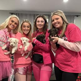 Miniature Schnauzer Puppies from Hume Family Mini Schnauzers