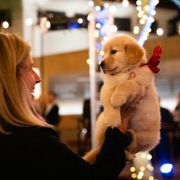 Golden Retriever Puppies from Valley of the Sun Golden Retrievers