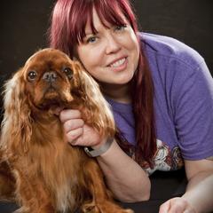 English Toy Spaniels from Enchanting Merits