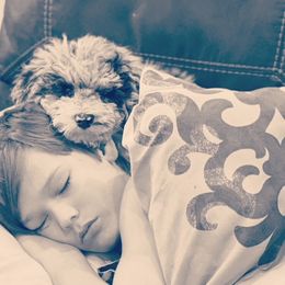 Aussiedoodles from M&M Aussiedoodles