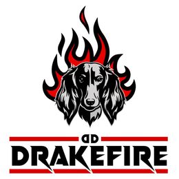 DrakeFire's Pick - Chocolate and tan female Dachshund puppy in Hazlehurst, Georgia from DrakeFire Dachshunds