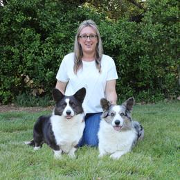 Cardigan Welsh Corgi All Grown Up from Oakcreek