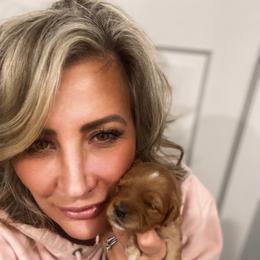 Goldendoodle Puppies from Graystone Doodles