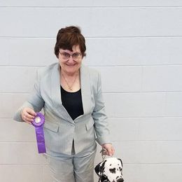 Cavalier King Charles Spaniels, Dalmatians, and Swedish Vallhunds from Snowood Dalmatians and Cavaliers