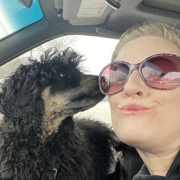 Aussiedoodles, Bordoodles, and Poodles from Danie’s Doggie Den