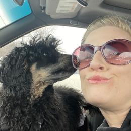 Aussiedoodles, Bordoodles, and Poodles from Danie’s Doggie Den