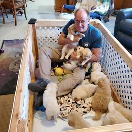 English Setter, Golden Retriever, and Gordon Setter Puppies from Katherine Lirette