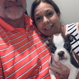 Boston Terrier Puppies from Bonze Boston Terriers