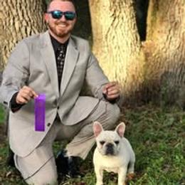 French Bulldog Puppies from Reds Frenchies