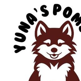 Pomskies from Yuna's Pomsky