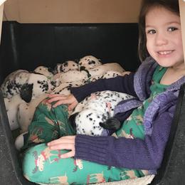 Dalmatian Puppies from Smart Dalmatians