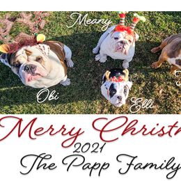 Bulldog Puppies from Pappy's Bullies