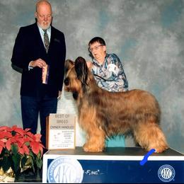 Briard and Pointer All Grown Up from Honey Bee Hill