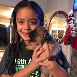 French Bulldog Puppies from PNW French Bulldogs