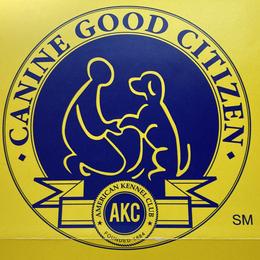 German Shepherds from Haus Mahr German Shepherds & Training, LLC